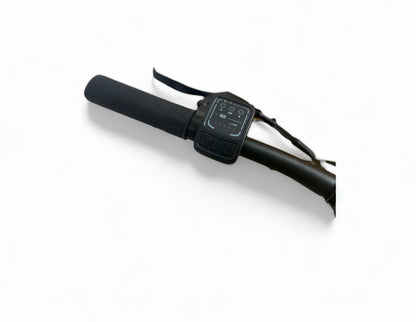 Folding E-Bike Fedo Black