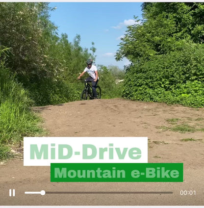 E-Bike Mid Drive G-Hybrid Jason Mid Drive Motor 36v Battery 8 Speed Hydraulic
