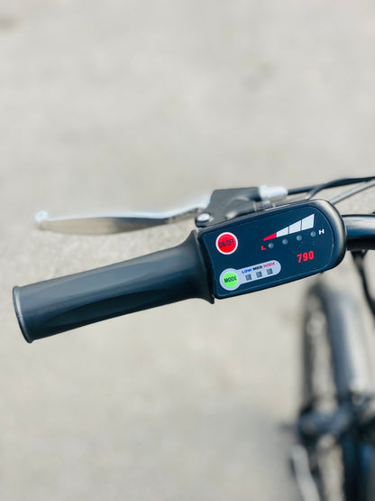 Freedom Folding e-bike with Lower Step Green