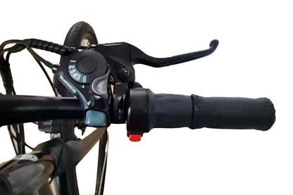 Commuter E-Bike G-Hybrid Elegent Step Through Unisex Grey
